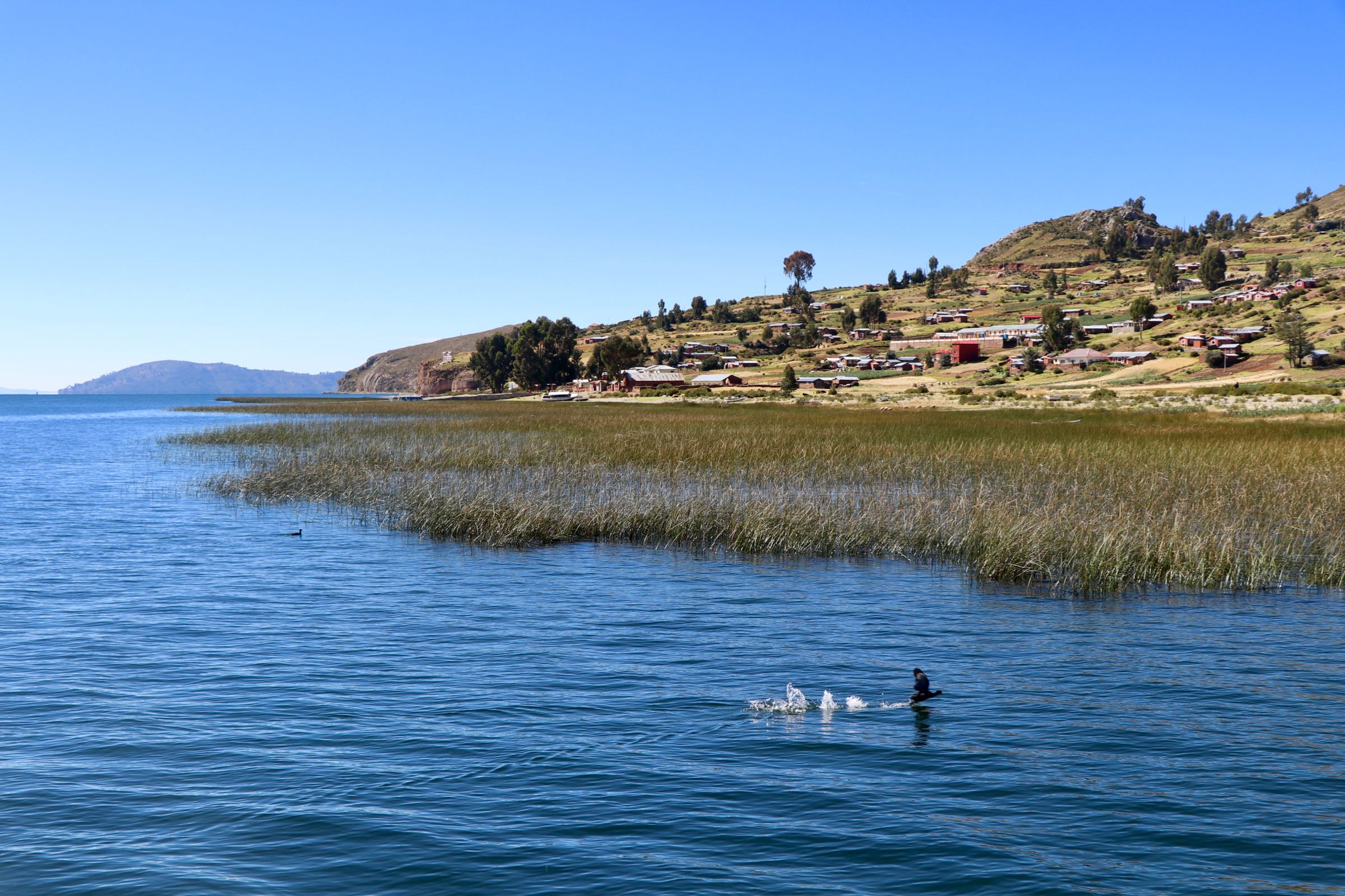 Halbinsel auf dem Titicacasee, Peru