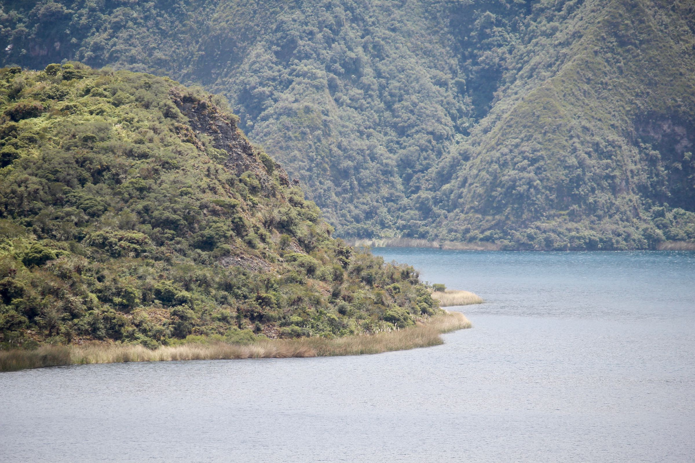 Insel auf dem Kratersee Cuicocha, Ecuador