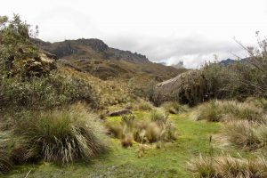 Landschaft im Nationalpark Cajas, Ecuador