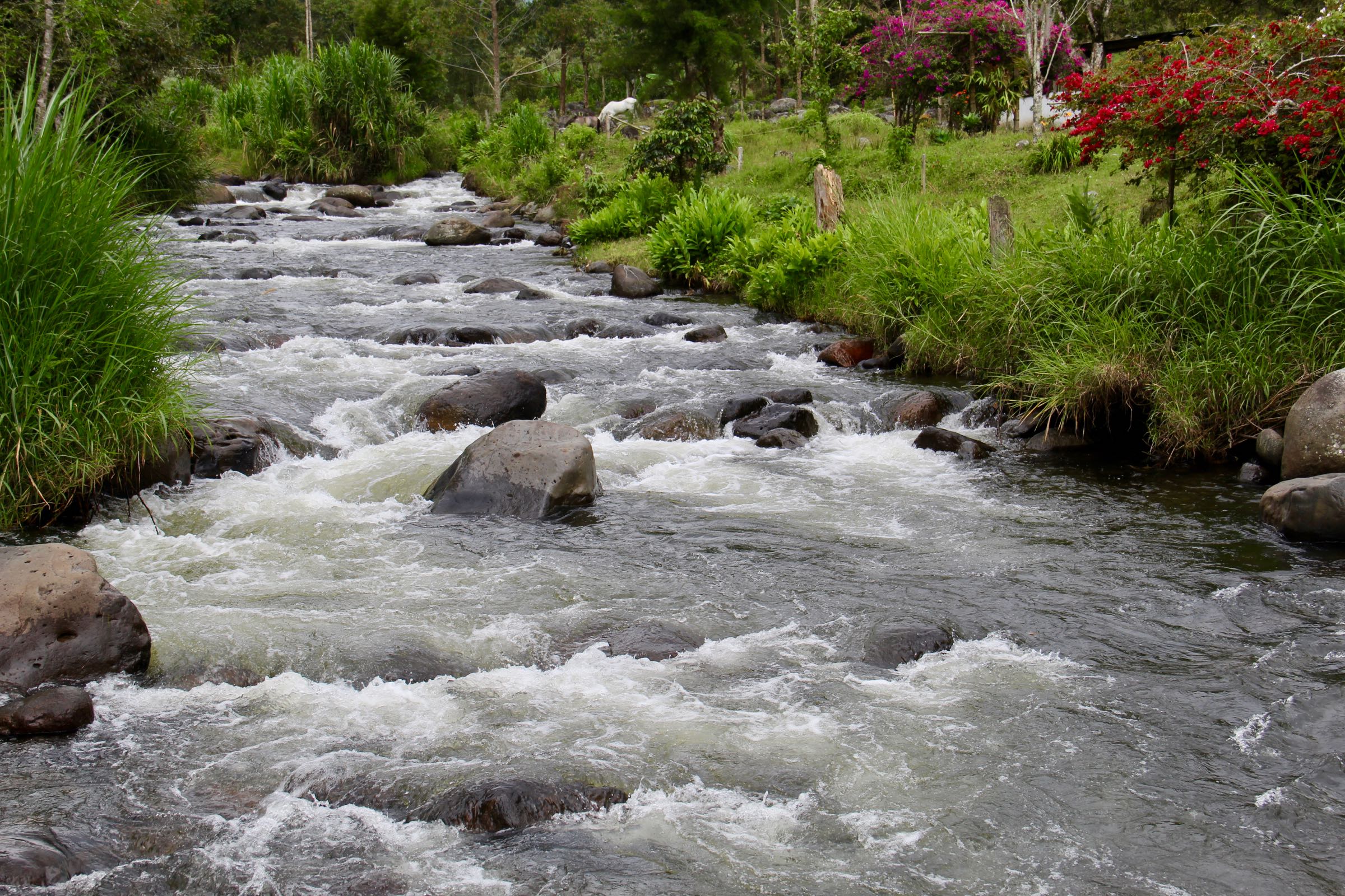 Fluss bei Salento, Kolumbien