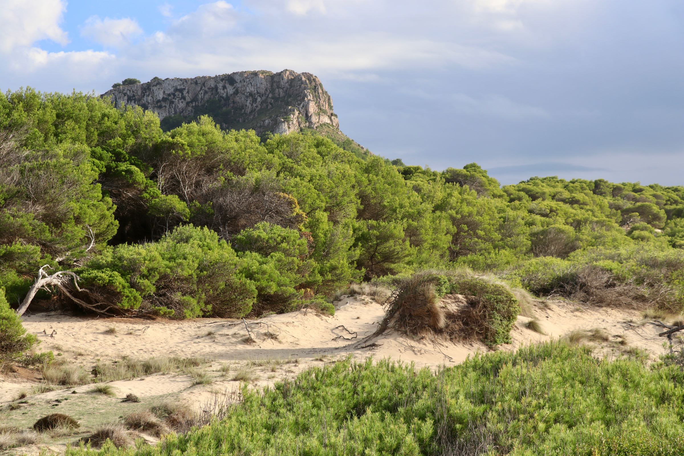 Landschaft in Llevant, Mallorca, Spanien