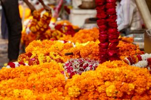 Blumenketten, Jaipur, Indien