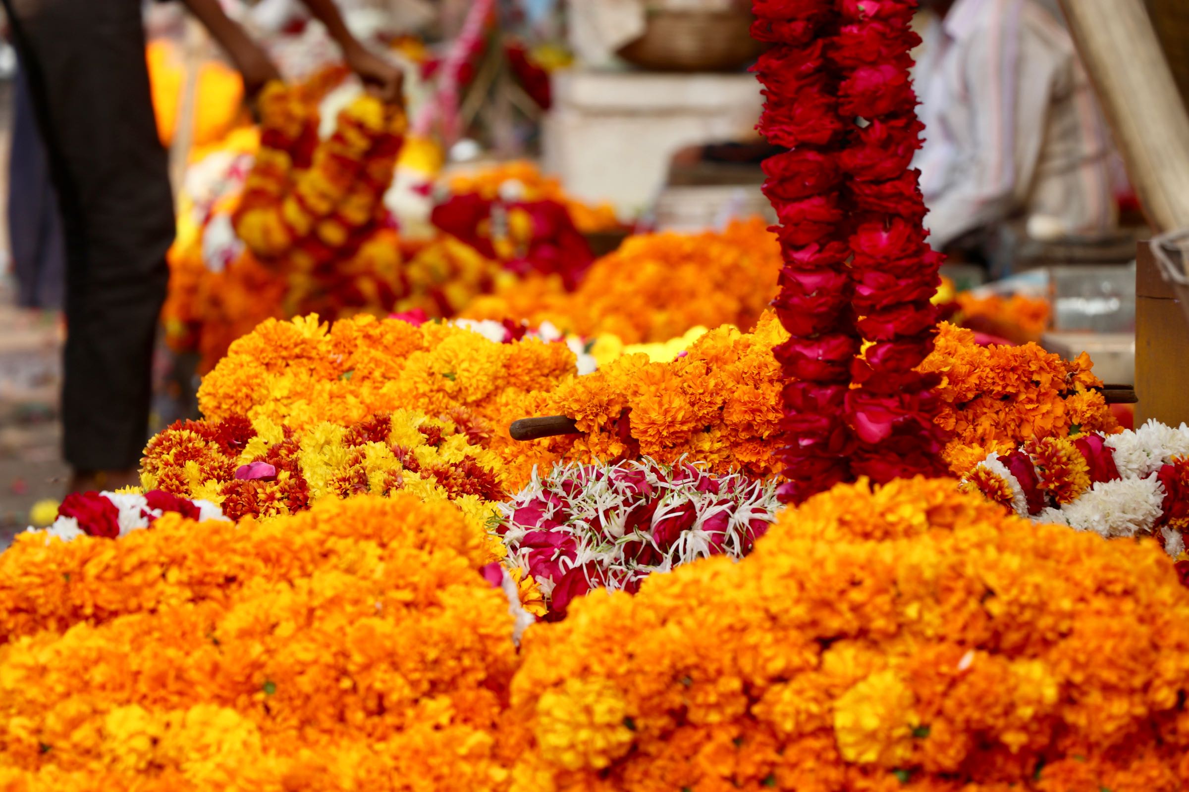 Blumenketten, Jaipur, Indien