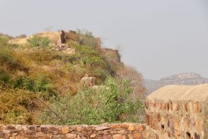 Fort Ranthambhore, Ranthambhore-Nationalpark, Indien