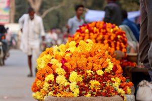 Blumenketten, Bundi, Indien