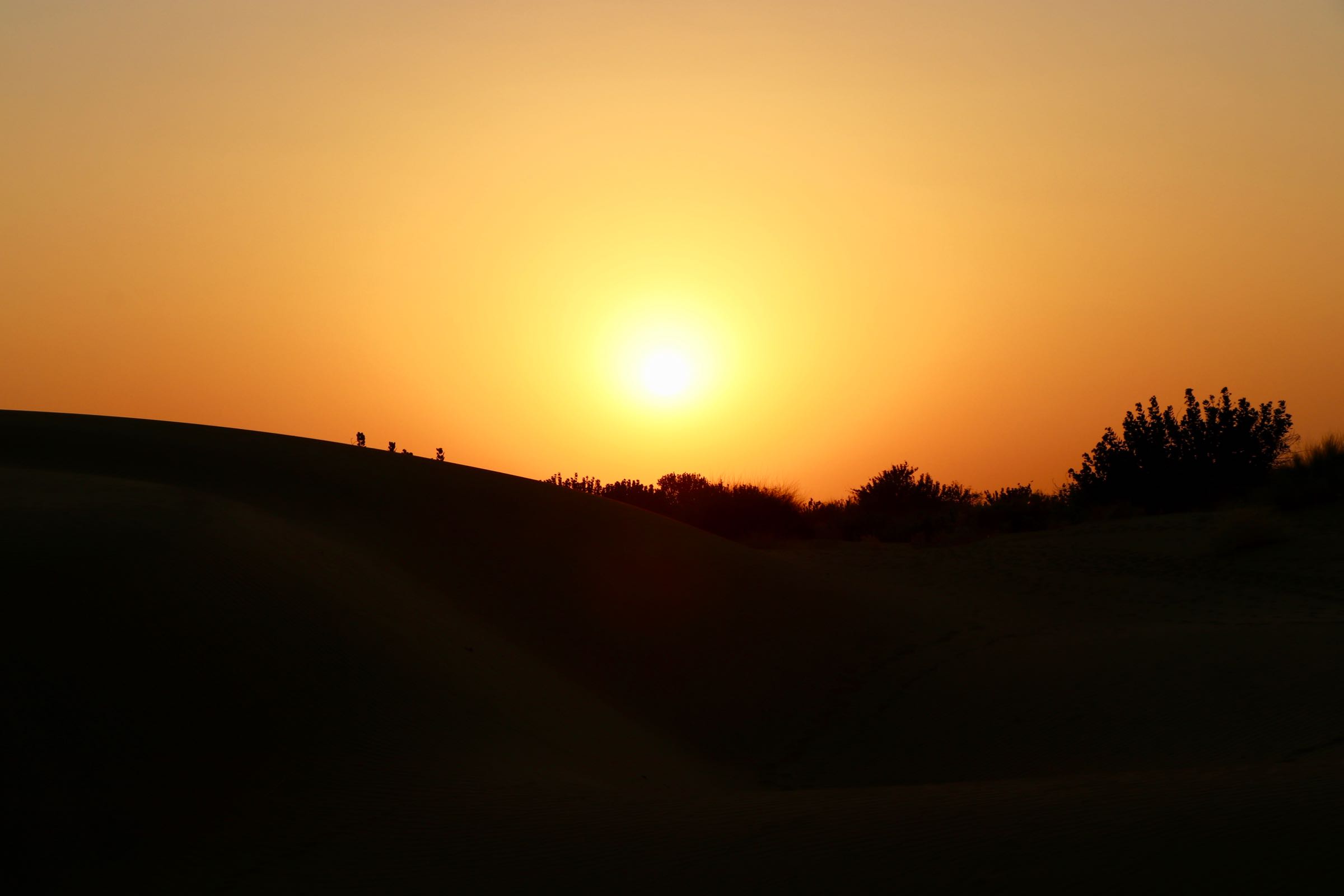 Sonnenuntergang in der Thar, Indien