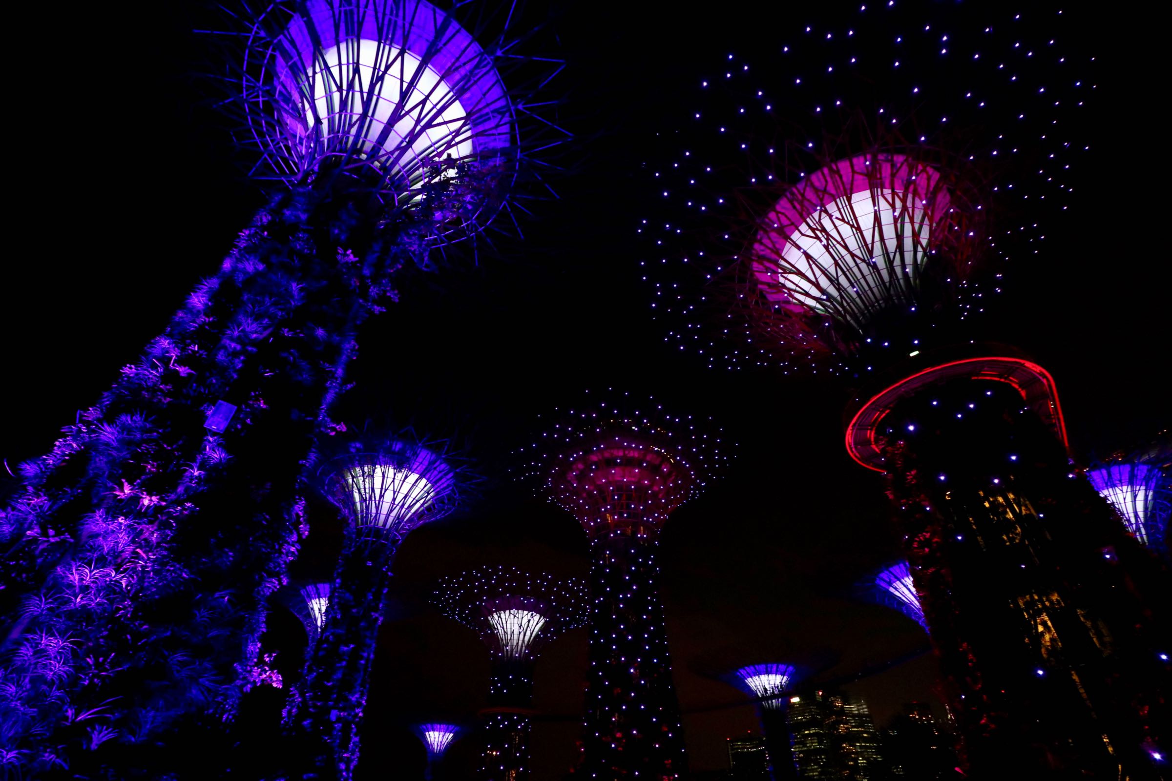 Supertrees in den Gardens by the Bay, Singapur