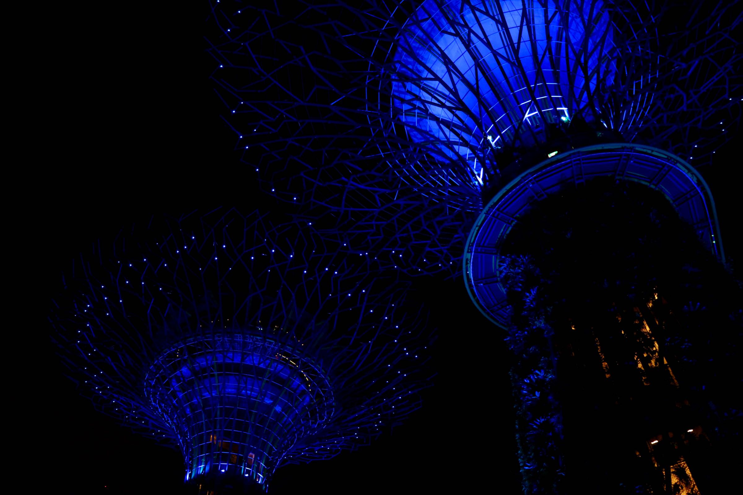 Supertrees in den Gardens by the Bay, Singapur
