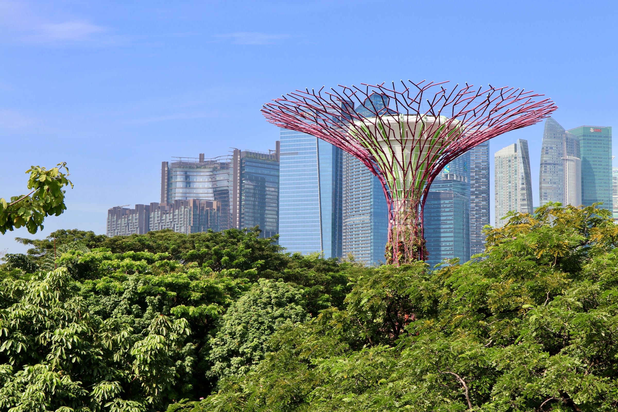 Supertree in den Gardens by the Bay, Singapur