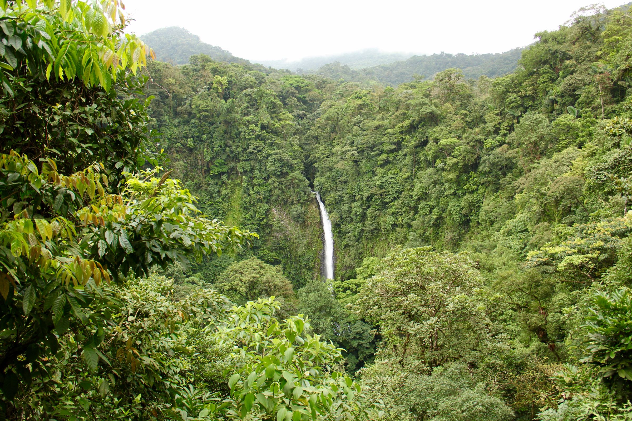 Wasserfall La Fortuna, Alajuela, Costa Rica