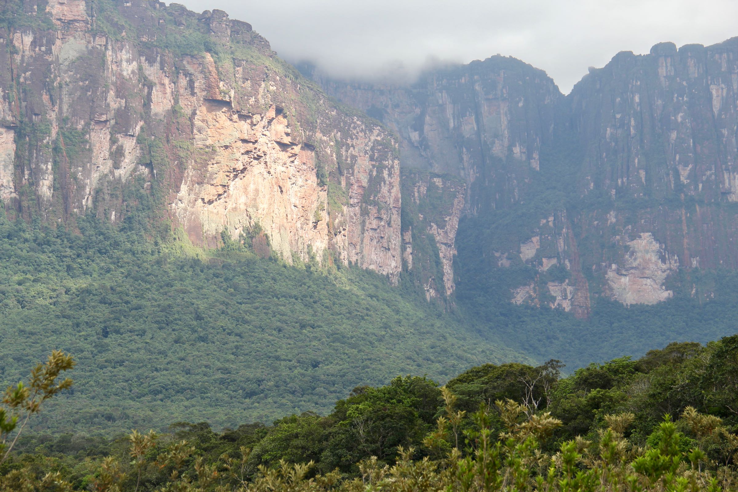 Felswände des Auyan-Tepui, Nationalpark Canaima, Bolívar, Venezuela