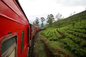 Bahnfahrt durch Teeplantagen, Sri Lanka
