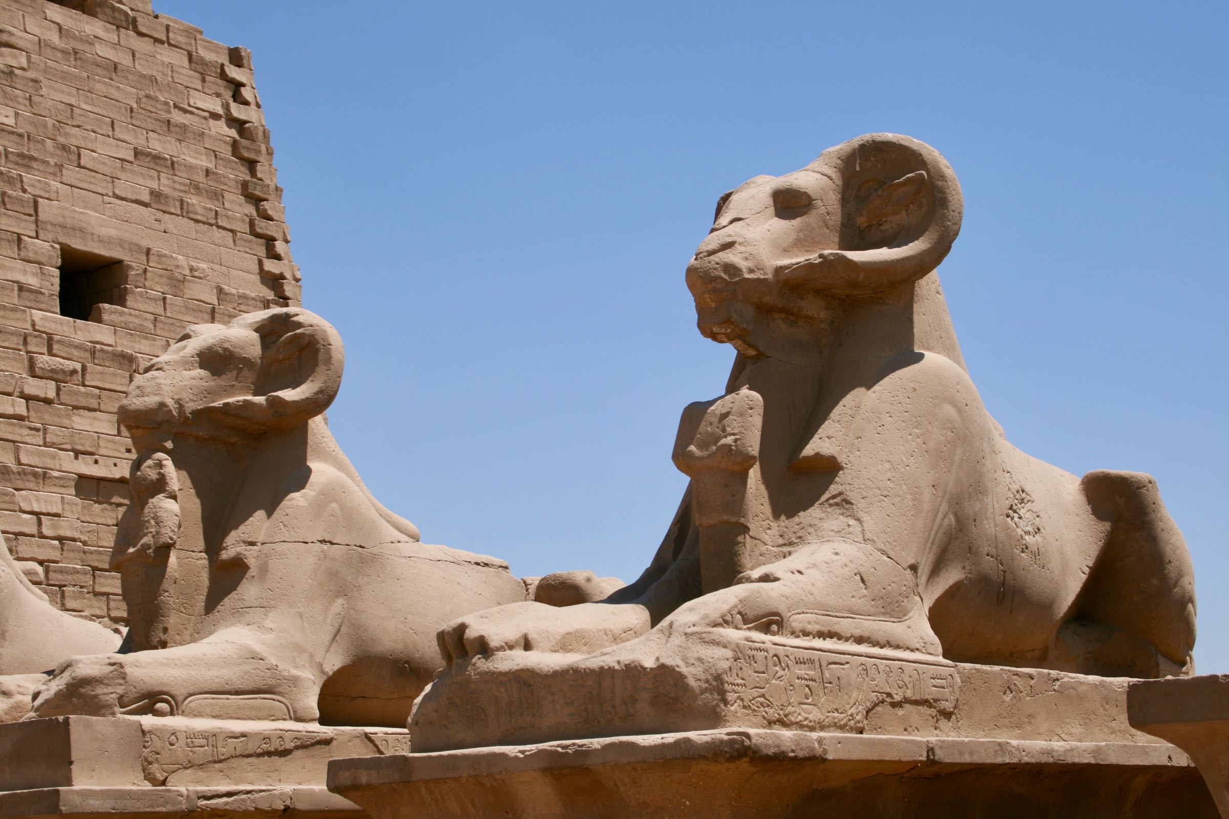 Widdersphingen im Karnak-Tempel, Luxor, Ägypten