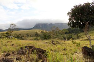 Chirikayen-Tepui, Gran Sabana, Bolívar, Venezuela