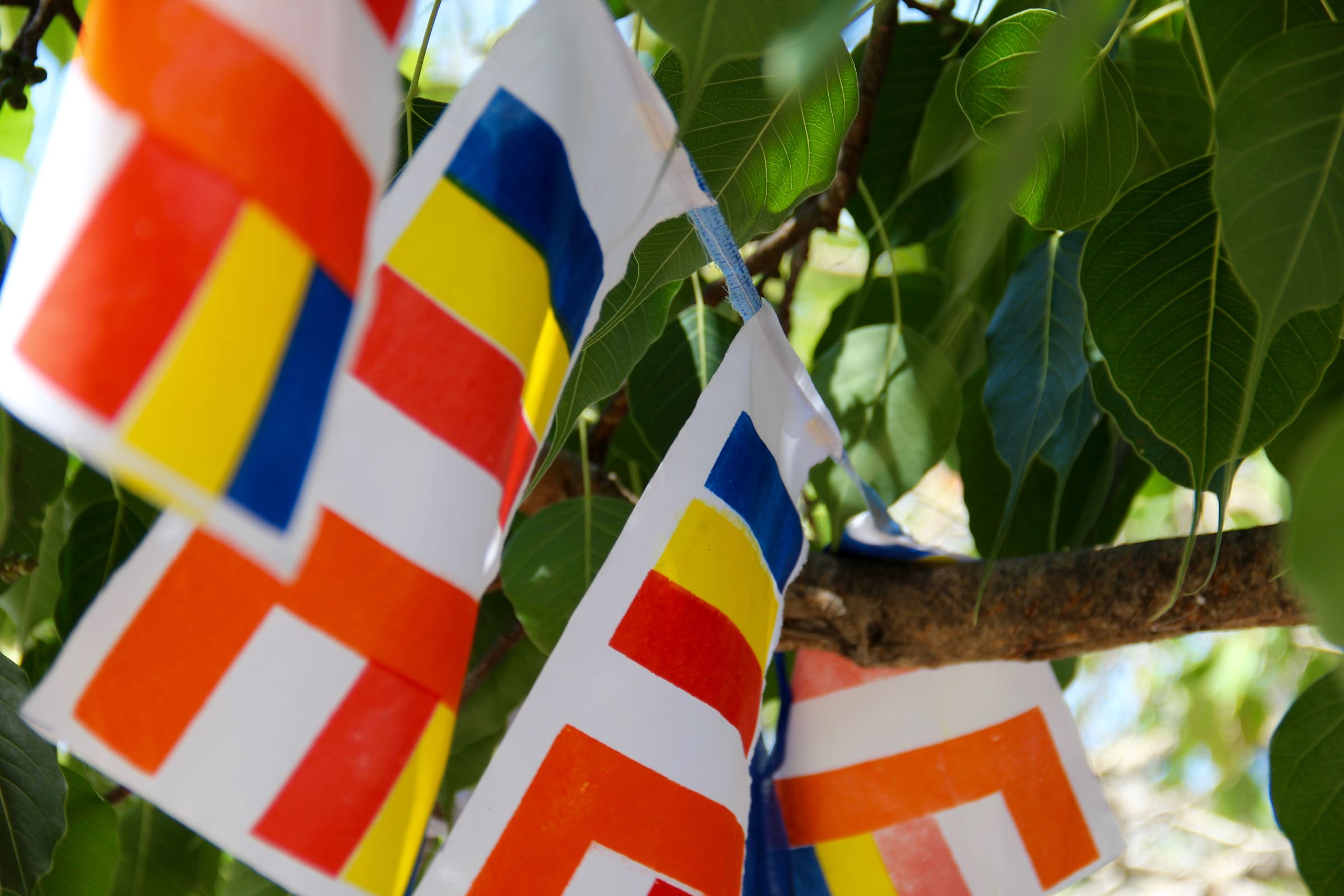 Buddhistische Flaggen, Kandy, Sri Lanka