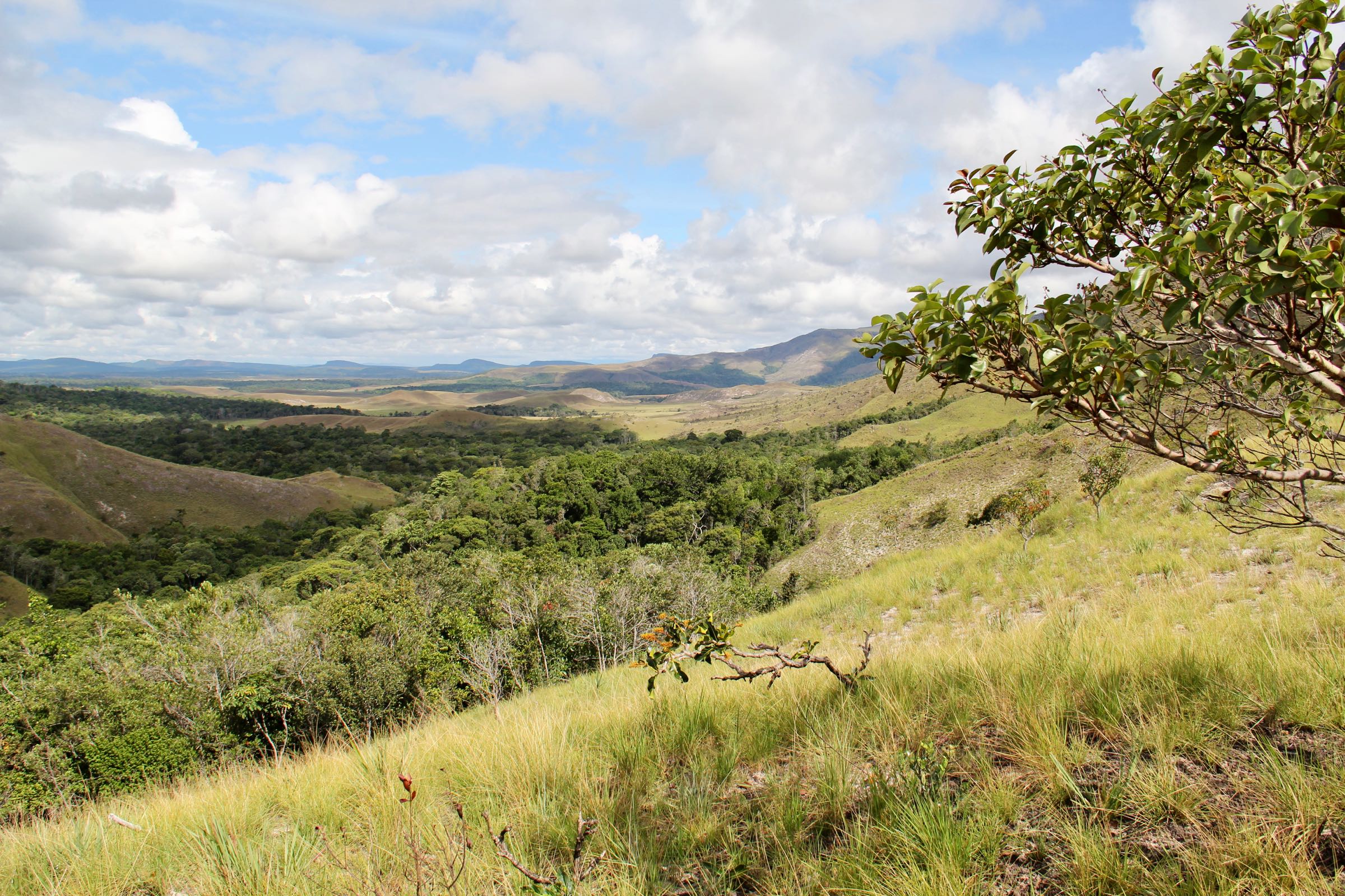 Blick über die Gran Sabana, Bolívar, Venezuela