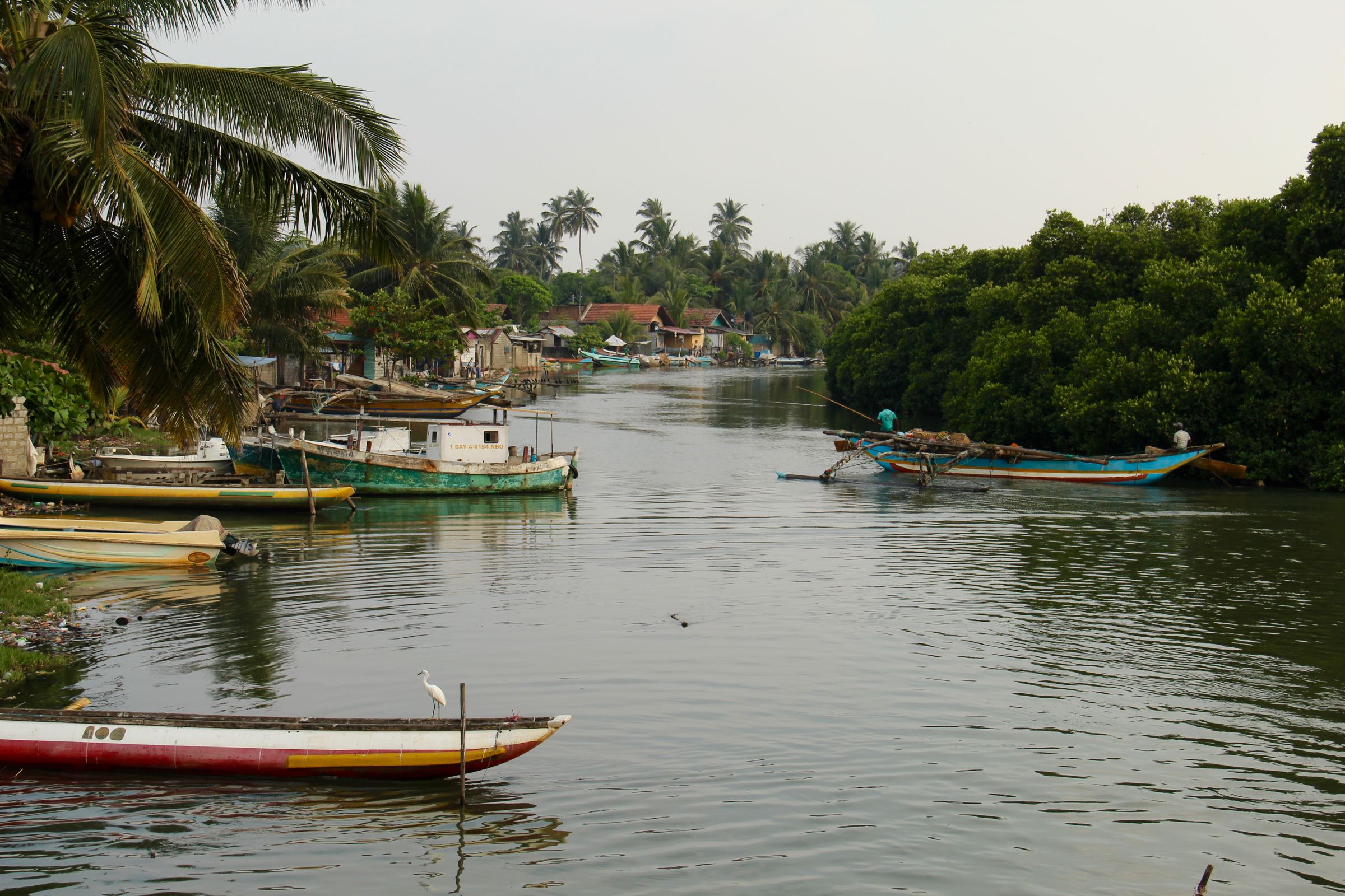 Fischerboote in Negombo, Sri Lanka