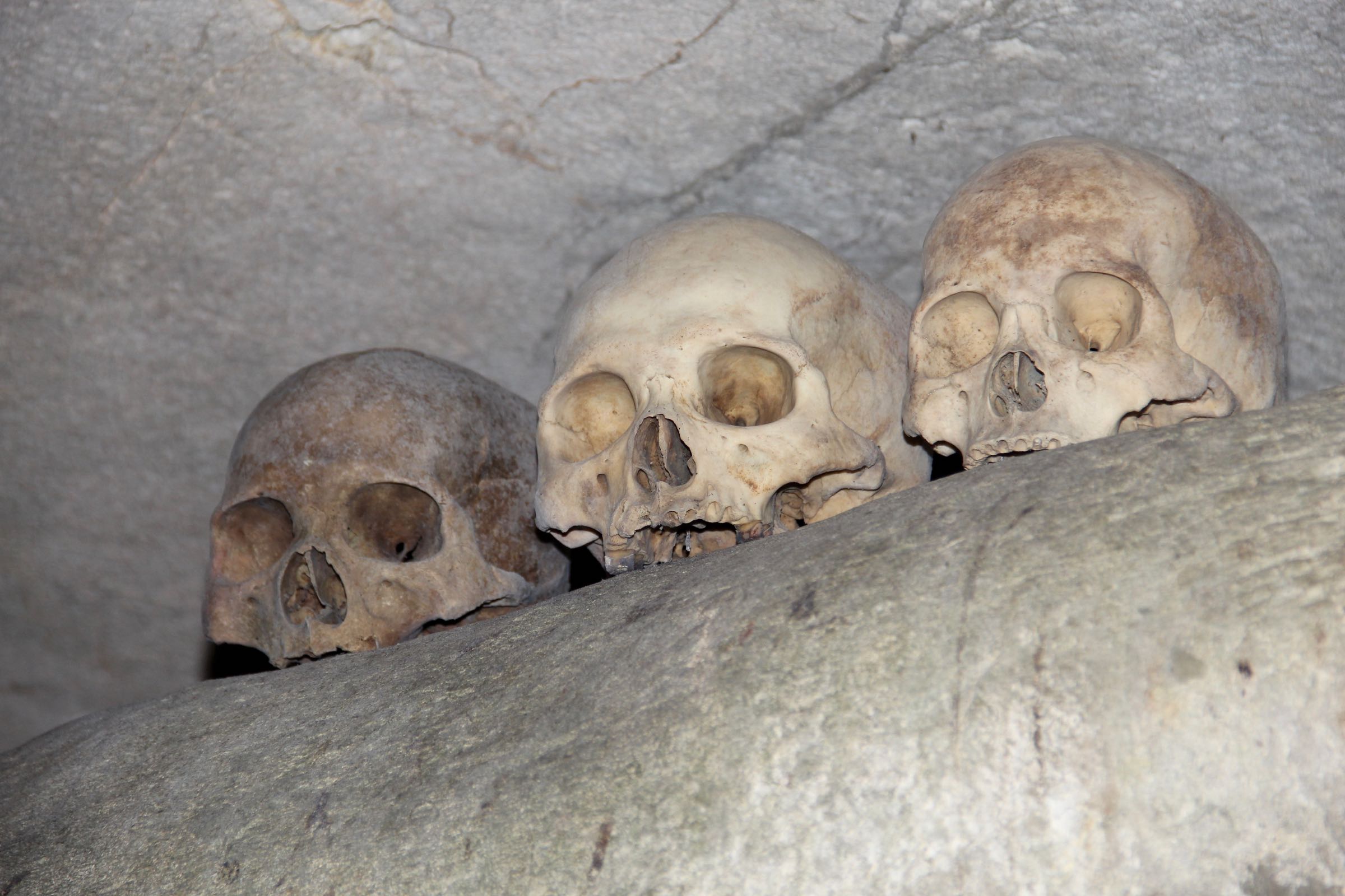 Totenschädel in einer Grabhöhle in Tana Toraja, Sulawesi, Indonesien