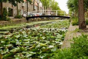 Kanal in Delft, Südholland, Niederlande