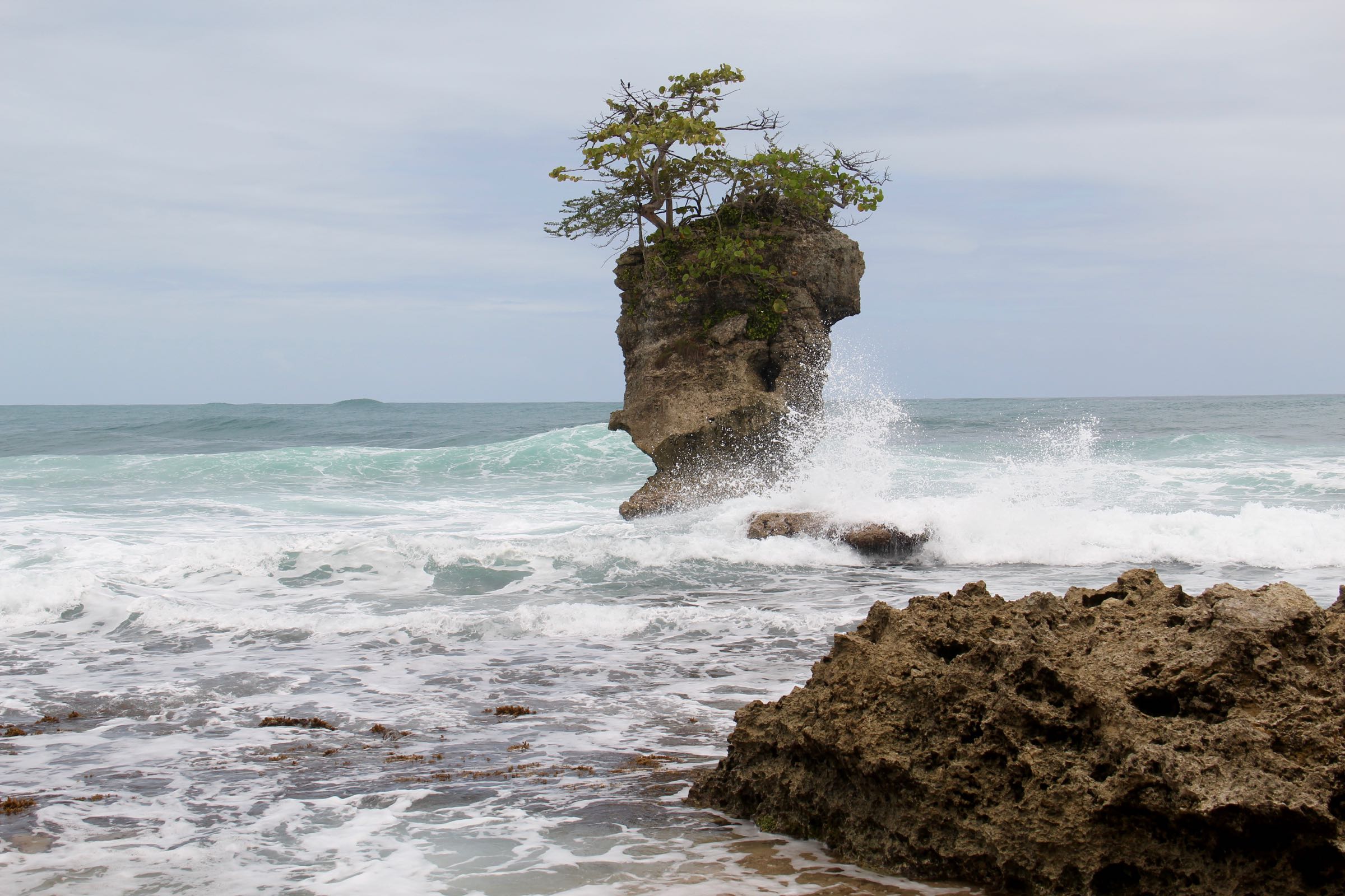 Felseninsel im Refugio Natural de Vida Silvestre Gandoca-Manzanillo, Limón, Costa Rica