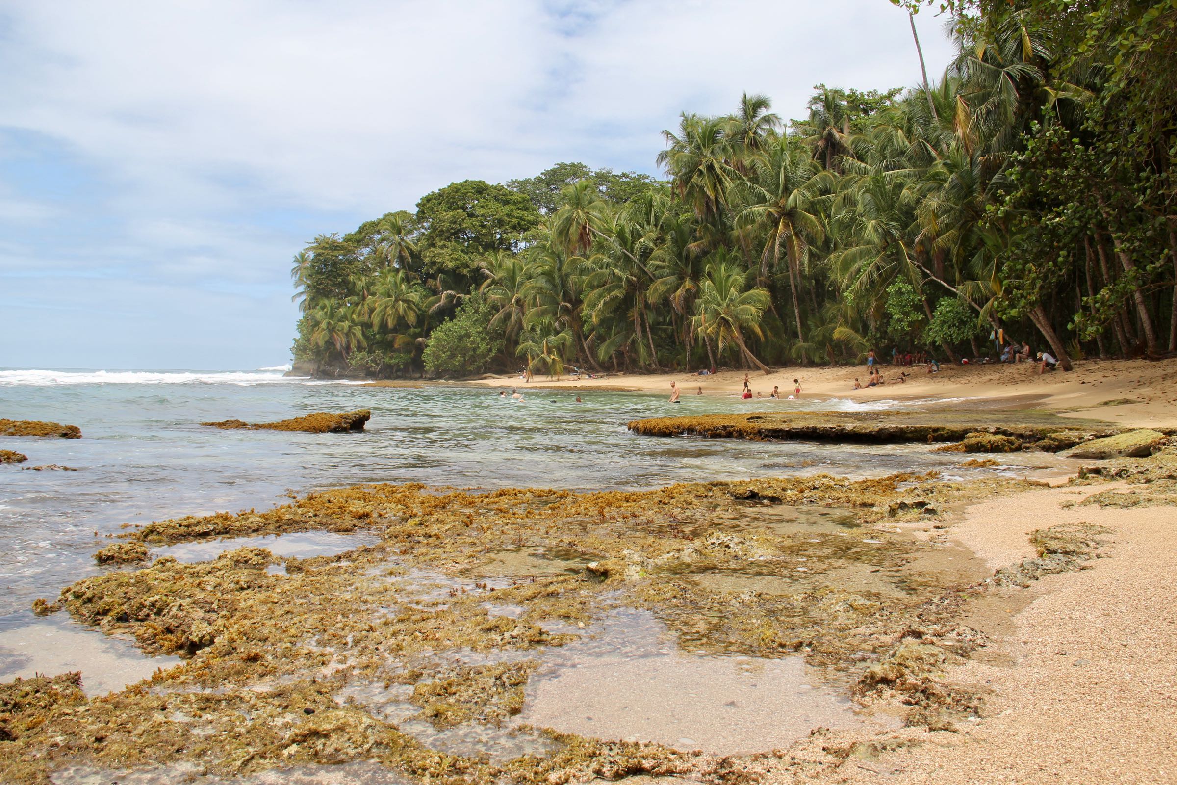 Strand im Refugio Natural de Vida Silvestre Gandoca-Manzanillo, Limón, Costa Rica