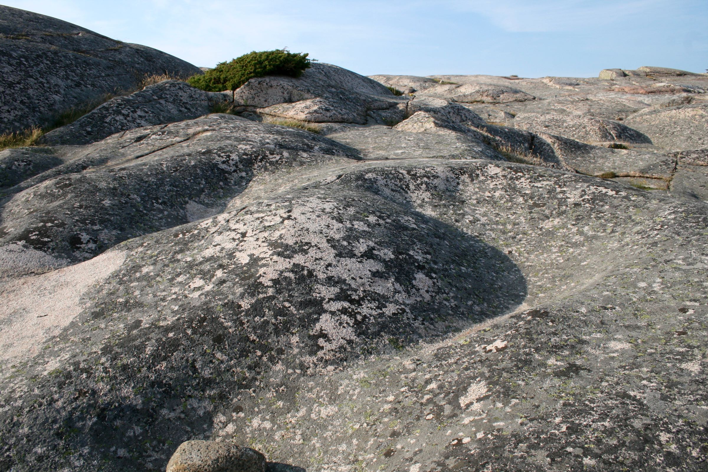 Felsboden an der Westküste von Schweden