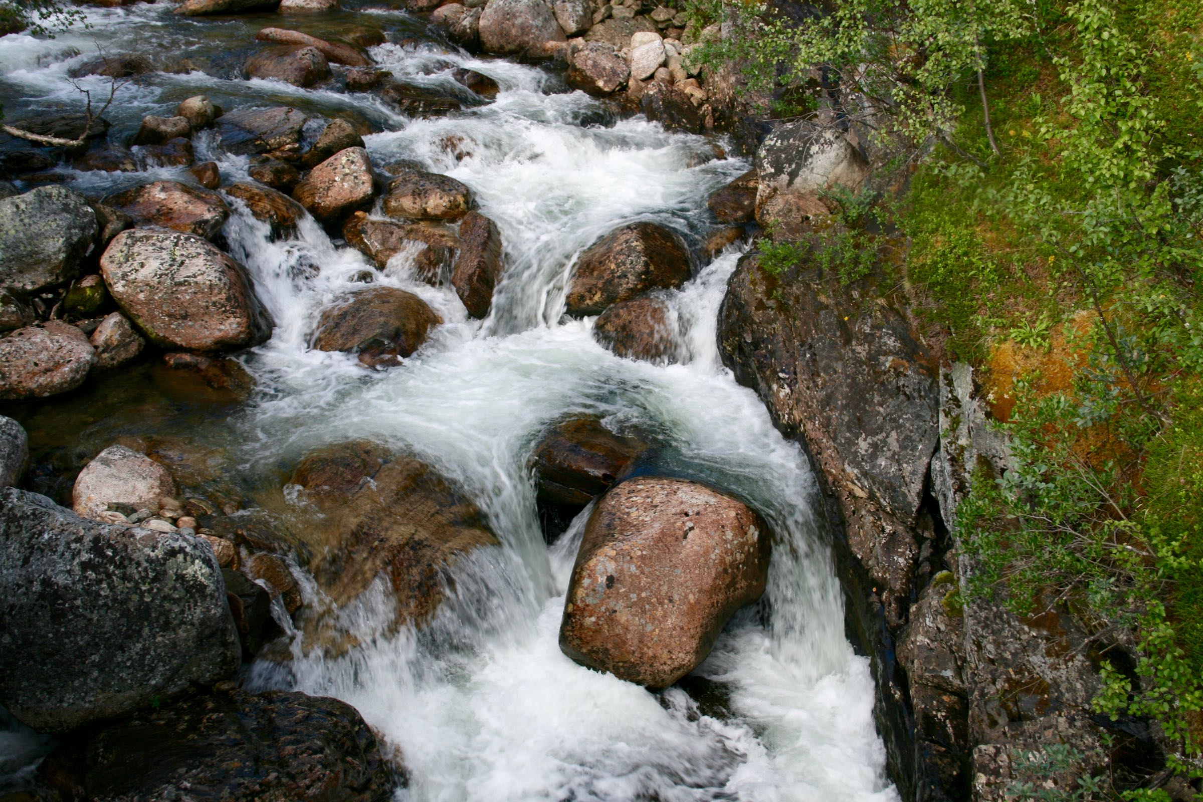 Bach im Dovrefjell-Sunndalsfjella-Nationalpark, Norwegen