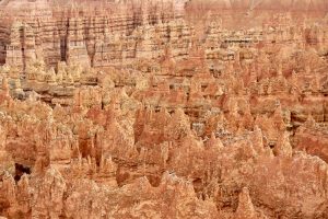 Sandsteinsäulen im Bryce Canyon, Utah, USA
