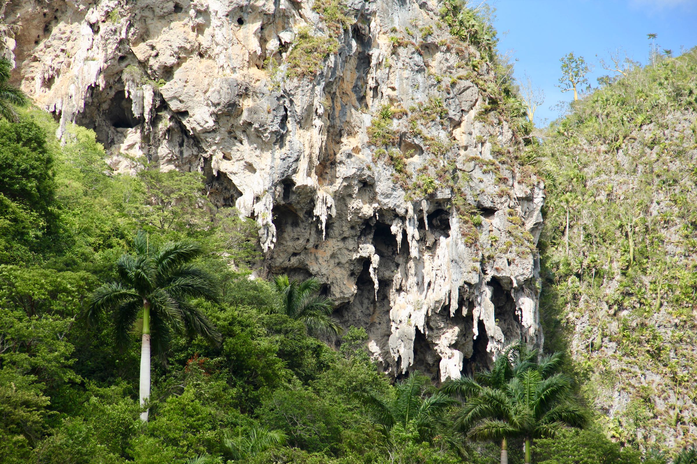 Kalkfelsen im Valle de Viñales, Pinar del Río, Kuba