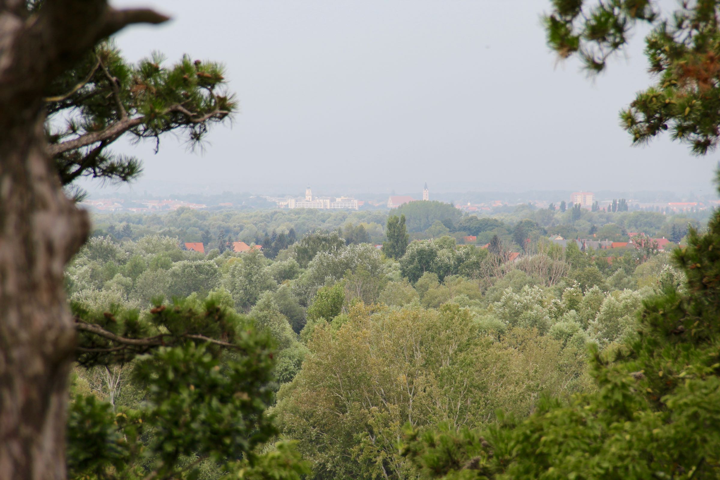 Blick auf Keszthely, Ungarn