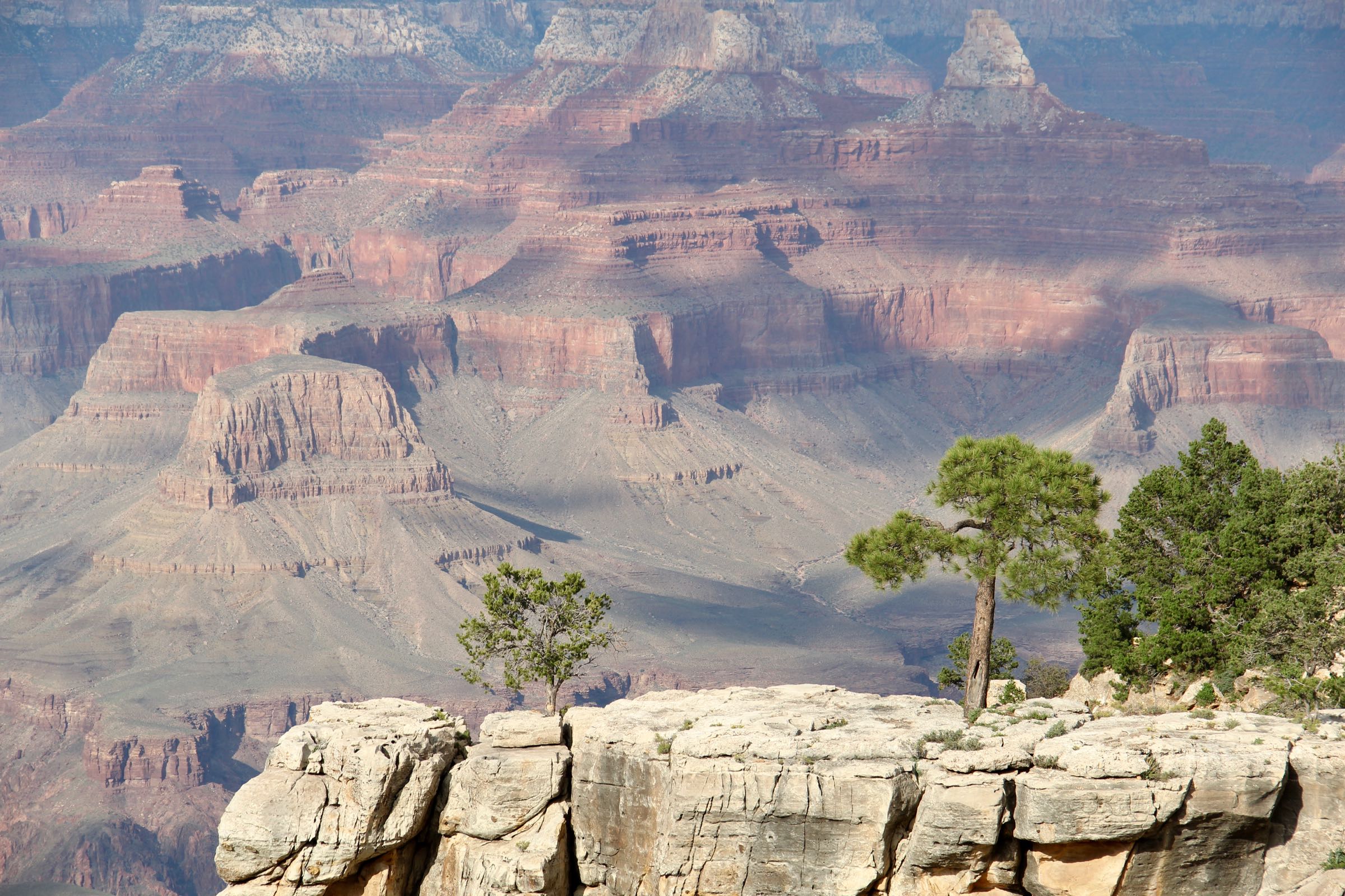 Blick in den Grand Canyon, Arizona, USA