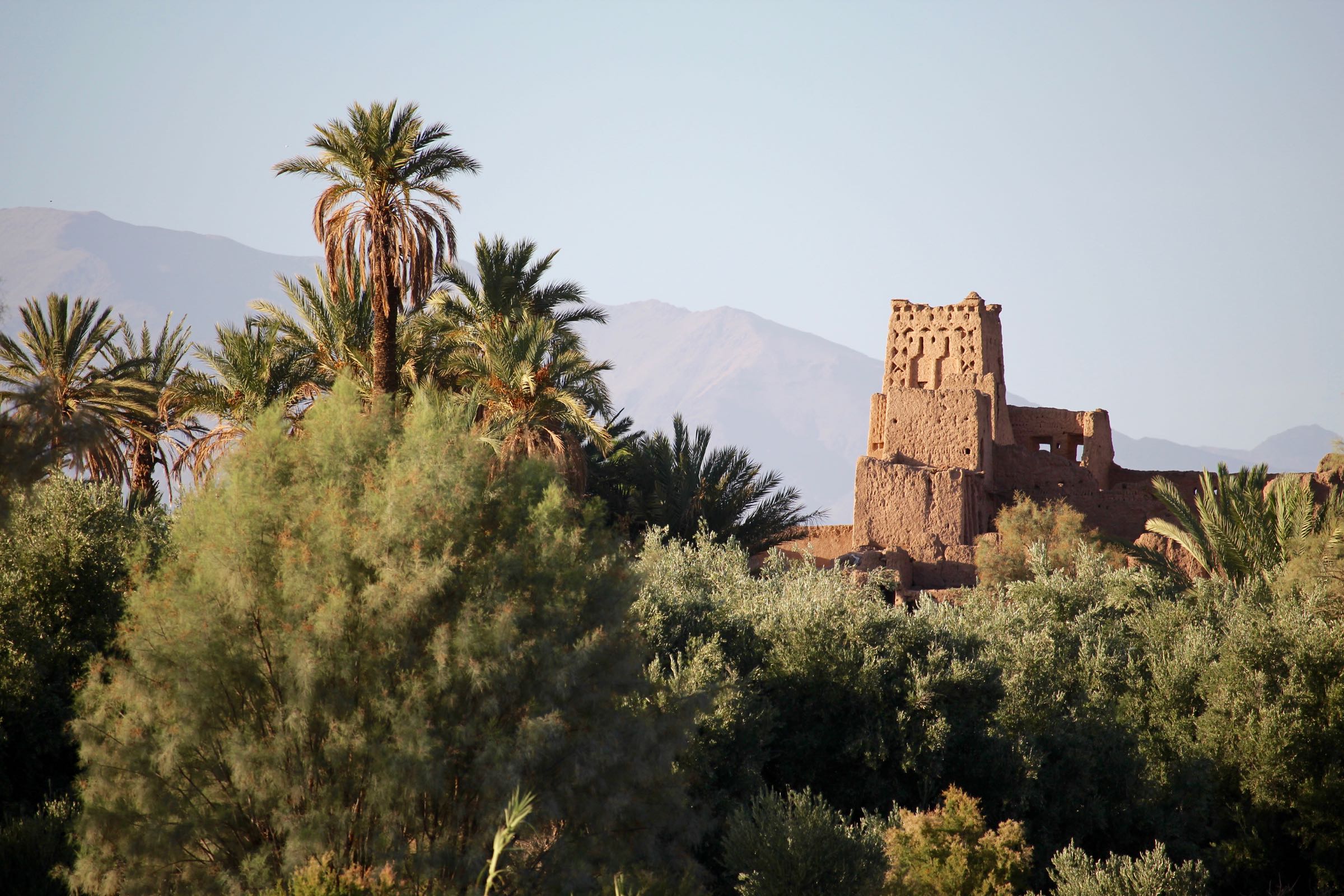 Kasbah in den Palmengärten von Skoura, Marokko