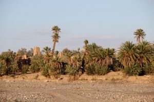 Ruinen in den Palmengärten von Skoura, Marokko