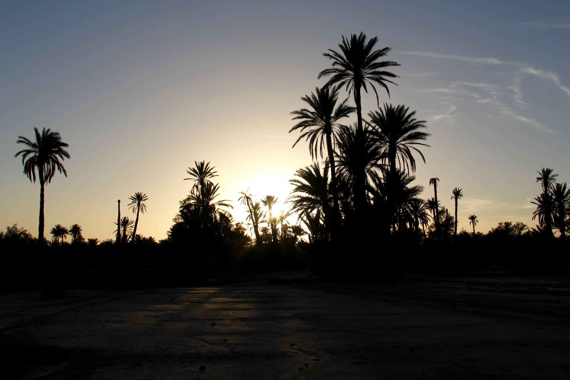 Sonnenuntergang in den Palmengärten von Skoura, Marokko