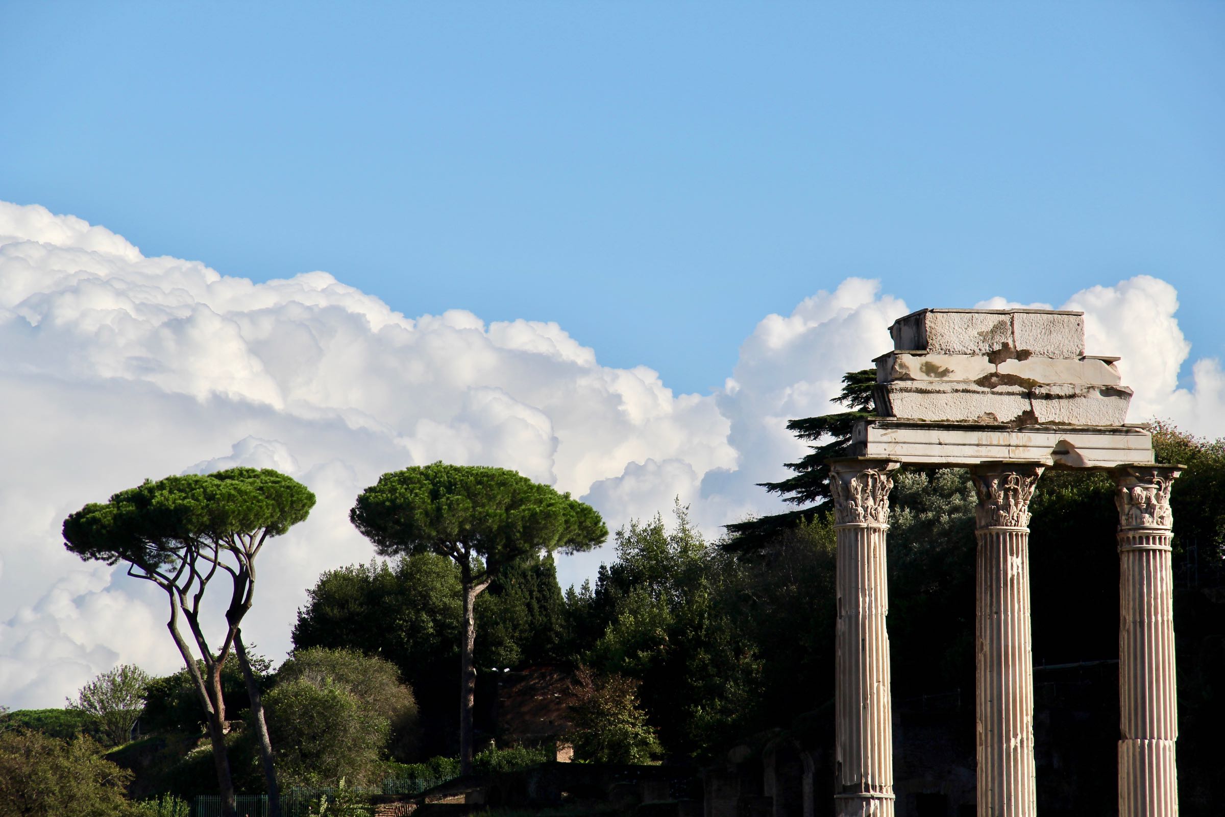 Tempelruine auf dem Forum Romanum, Rom, Italien