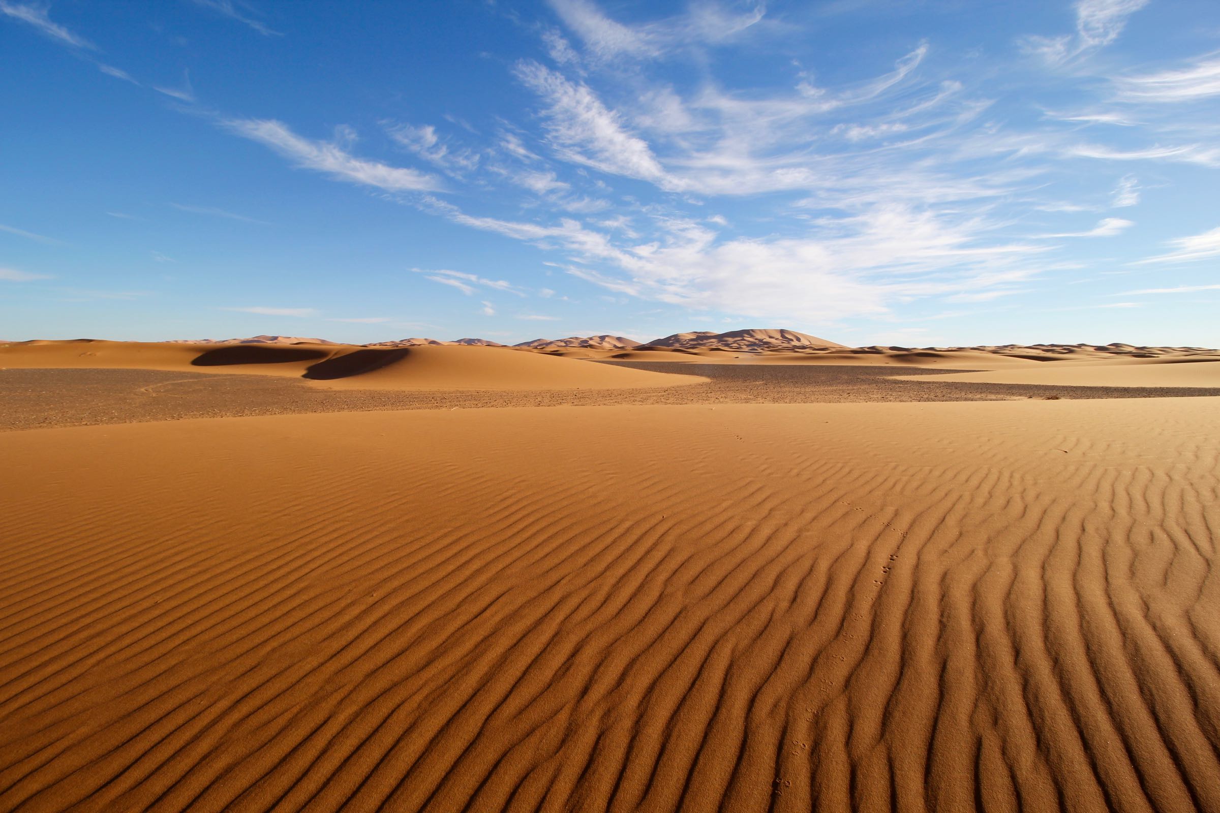 Dünen im Erg Chebbi, Sahara, Marokko