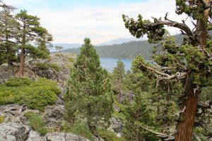 Blick auf die Emerald Bay (Lake Tahoe), Kalifornien, USA