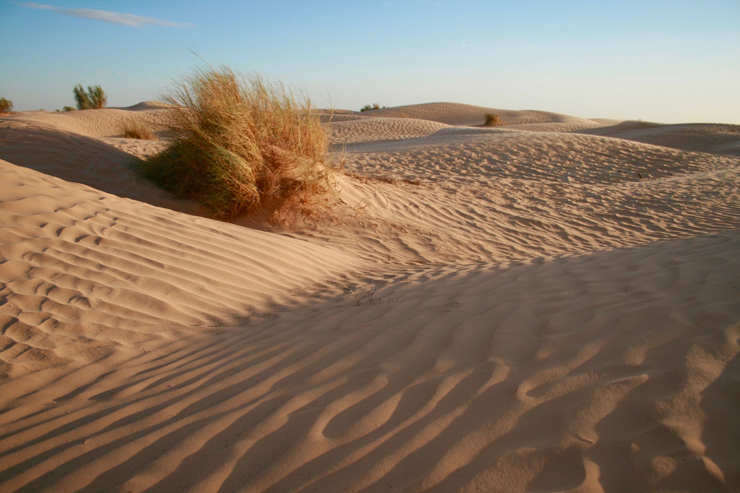 Dünen in der Sahara, Tunesien