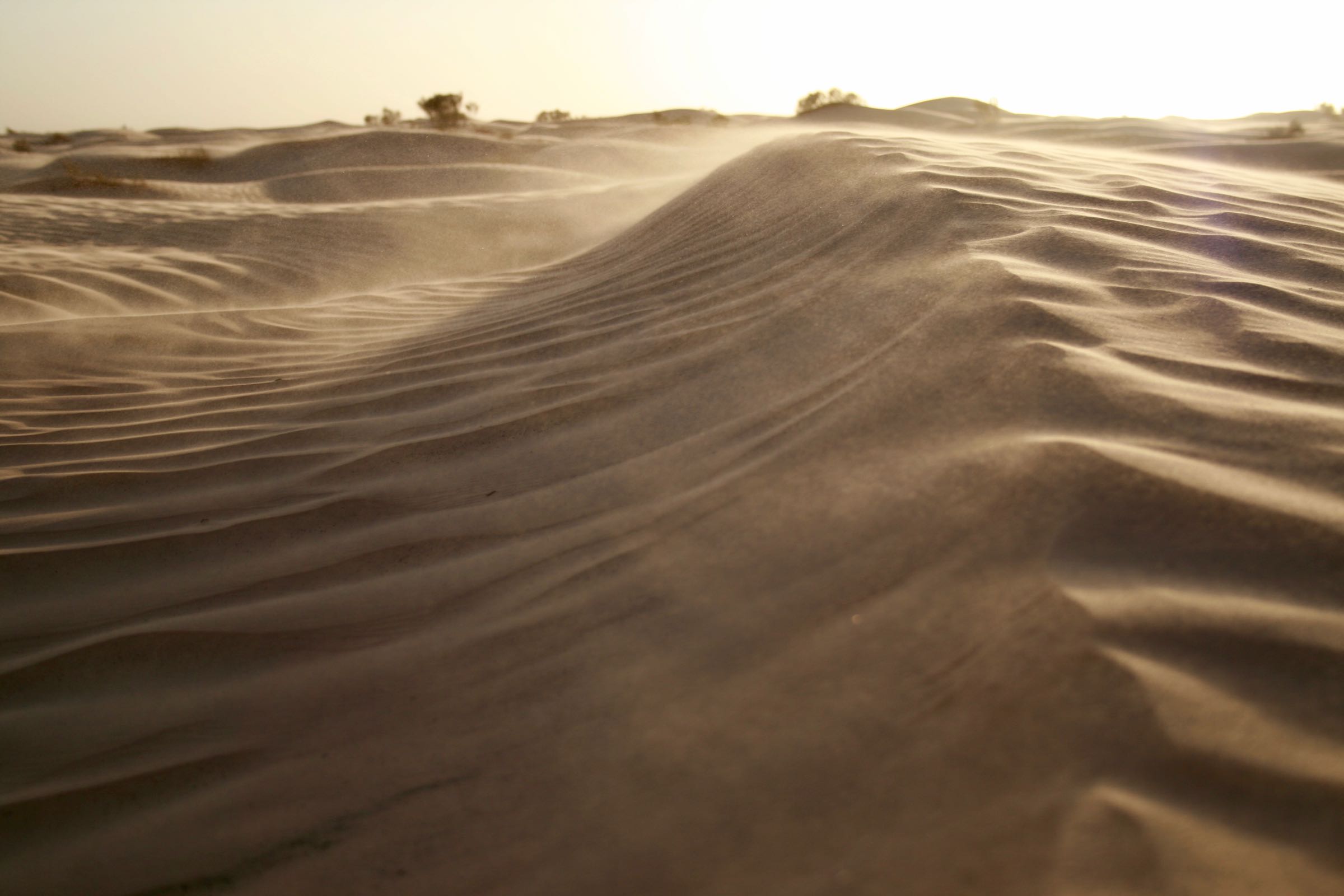 Düne in der Sahara, Tunesien