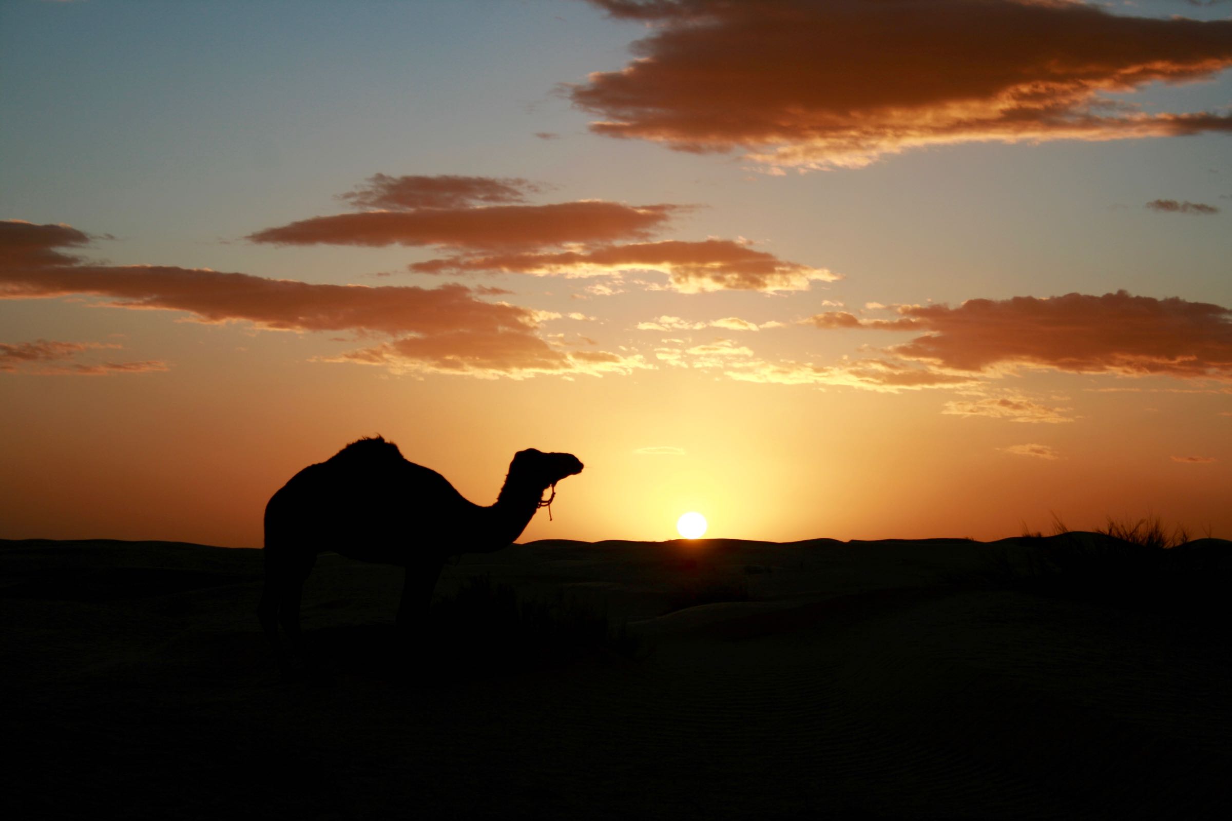 Sonnenuntergang in der Sahara, Tunesien