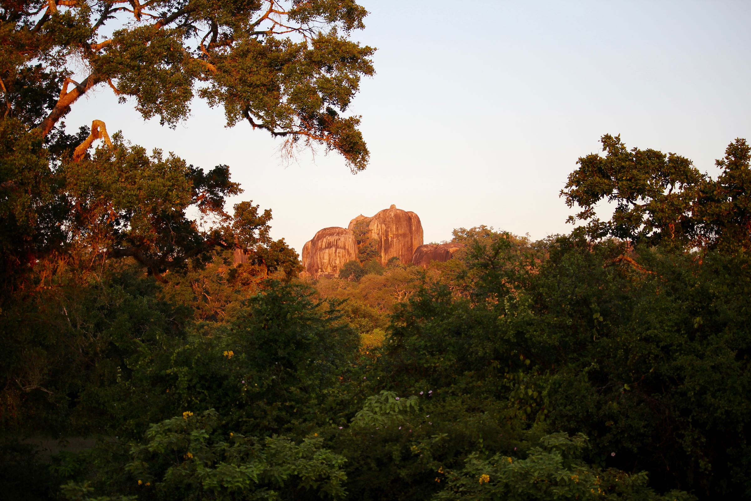 Felsen im Yala-Nationalpark, Sri Lanka
